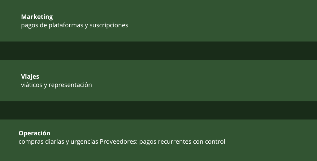 Marketing Pagos De Plataformas Y Suscripciones